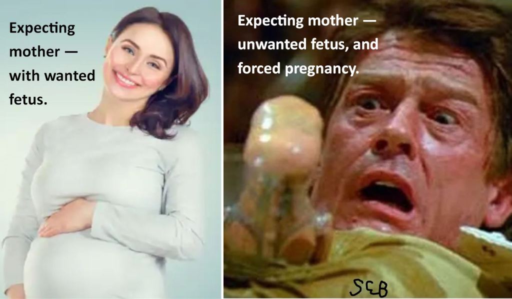 Forced Pregnancy:  How Does It Feel?